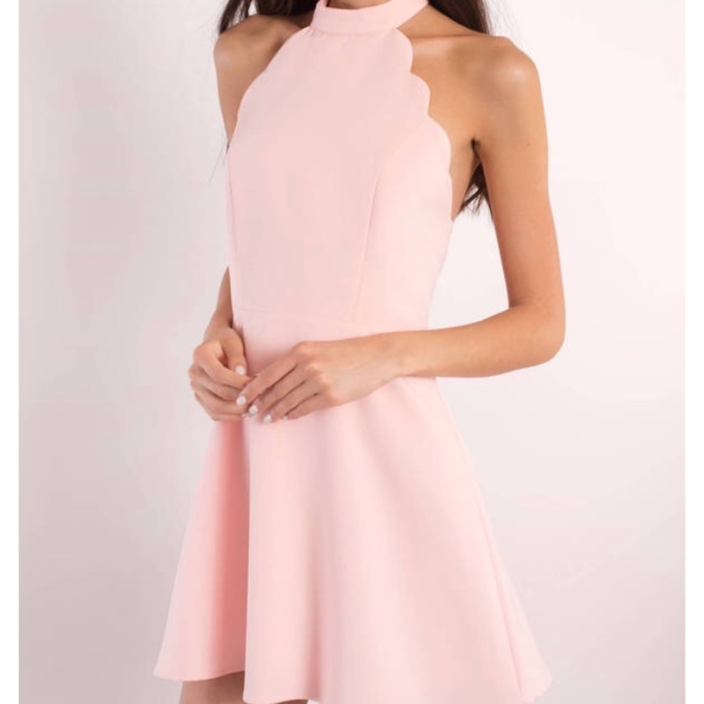 TOBI Gilda Blush Skater Dress